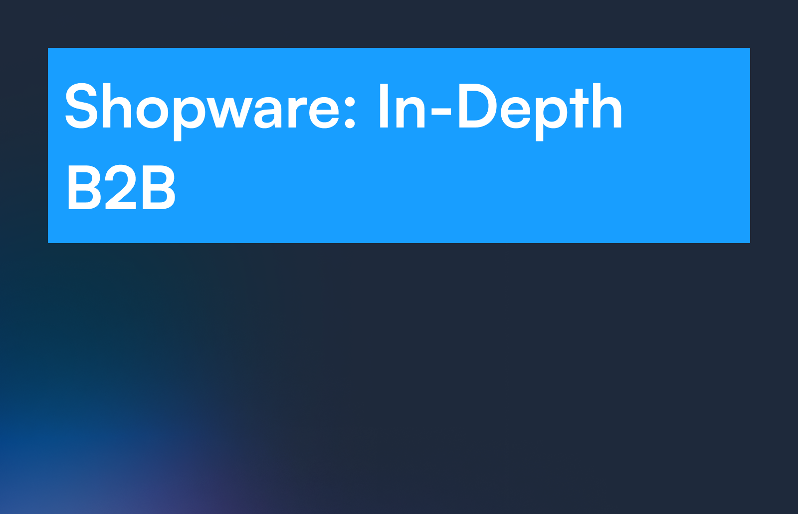 Shopware: In-Depth B2B