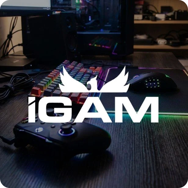 iGam - Gaming case study